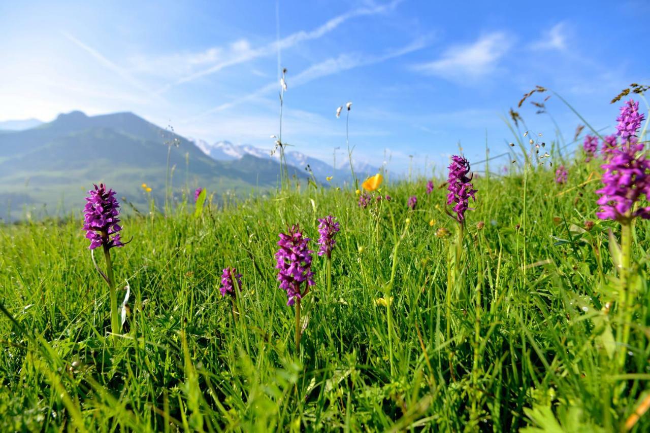 Hotel Alpen Roc Clusaz Zewnętrze zdjęcie
